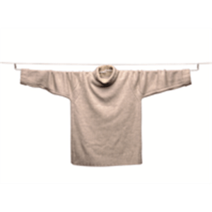 Garment Dryer (3151)